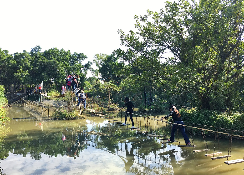 团建策划